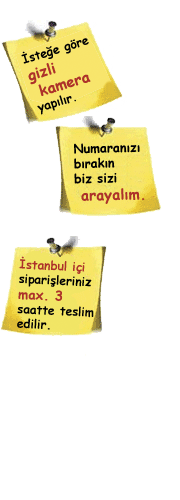 yan banner